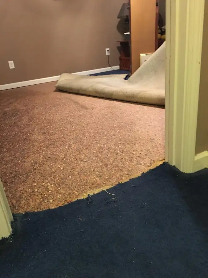 Carpet pad removal revealing water damage during Drying & Dehumidification in Downingtown